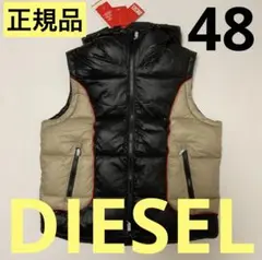 洗練されたデザイン DIESEL 正規品 W-Ostend-Sl 48