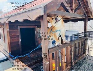 良い品質☆ドッグハウス 室外 ドアと窓付きの犬用犬小屋 ホームタウン ドッグハウス テラス 屋外 木製 大型犬用 XL 犬小屋