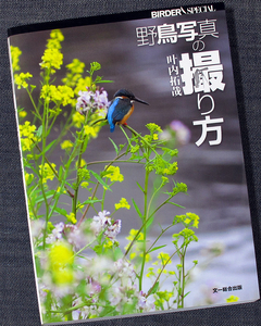 野鳥写真の撮り方｜野鳥 撮影テクニック カメラ 構図 飛行 採食 水浴び 争い 求愛 親子 渡り 逆光 ボケ ブレ 季節別 BIRDER SPECIA#