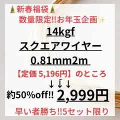 数量限定　お年玉企画　大特価　14kgf スクエアワイヤー 0.81mm 2m