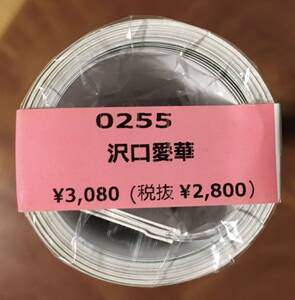 【未開封品】沢口愛華 2022年 カレンダー 壁掛け B2