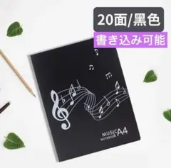 楽譜ファイル A4 書き込み可能 アイプロテクション A4 20枚収納