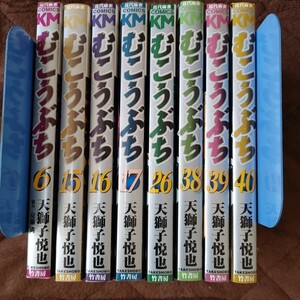 むこうぶち　8冊セット(6,15,16,17,26,38,39,40巻)（近代麻雀コミックス） 天獅子　悦也　著