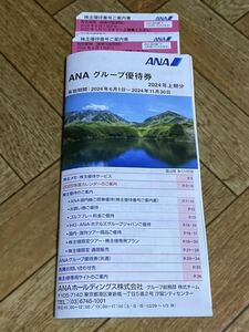 最新 ANA 全日空 株主優待 2枚セット オマケ 冊子 付き