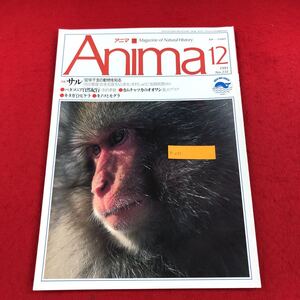 e-051 Anima (アニマ) 1991年12月号 No.231 平凡社 特集:サル パタゴニア自然紀行 カムチャッカのオオワシ キタガミトビゲラ 他 動物誌 ※6