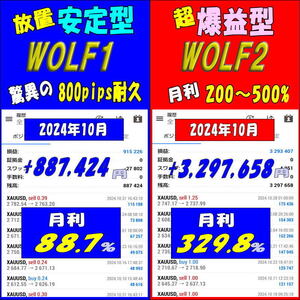 月利200～500%【超爆型&高機能EA】FXゴールド【爆益＆耐久性】【あなただけのカスタム版も人気です】