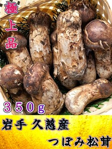 9/24入荷予定 岩手久慈産 極上【天然 大つぼみ 松茸 約350g前後】4~6本 御供 贈答用 誕生日祝 国産 高級品 まつたけ 暑中見舞 残暑見舞