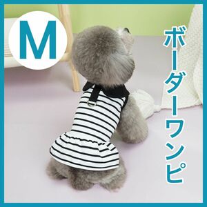 犬服 犬 いぬ イヌ 小型犬 お洋服 ペット服 ワンピース スカート ボーダー ストライプ かわいい おすすめ プレゼント わんちゃん 服 犬 秋