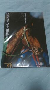 JRA ニッポーテイオー クリアファイル ヒーロー列伝 競馬 来場ポイントキャンペーン