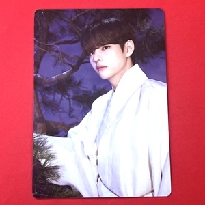 防弾少年団 BTS DALMAJUNG ダルマジュン 公式 MINI PHOTO CARD ランダム ミニフォトカード トレカ V ブイ テヒョン テテ 46