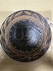 極美品　WHITESNAKE LP ピクチャーディスク　１枚組　同梱可能