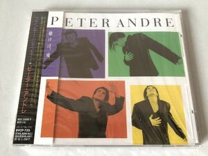 未開封 見本 ピーター・アンドレ PETER ANDRE ファンキー・ジャンキー FUNKY JUNKY プロモ盤