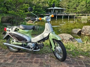 超貴重！1996年式 ホンダ 純正リトルカブラC-50型 走行10683km 極上車 かんたん決済お断り！ 銀行振り込みのみ