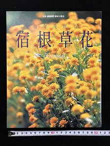 ｇ▽　宿根草花　毎年花咲く　別冊NHK趣味の園芸　2001年　日本放送出版協会　/ｆ-M05