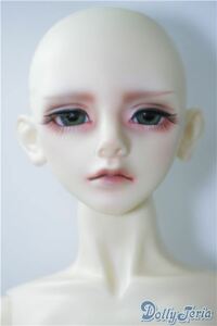 BJD CROBI /Lance A-24-09-17-1147-TN-ZU