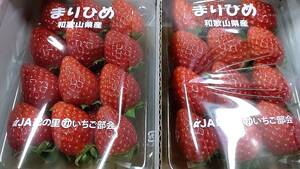 和歌山県産 まりひめ いちご 秀品 Lサイズ 2パック (約500g)