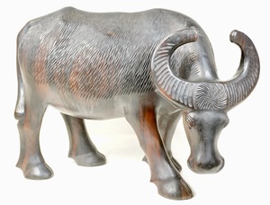 直径38cm重さ6.7kgの大作！ 一刀彫水牛像　紫檀　オブジェ 本物の水牛かのような雰囲気、 細密彫刻が素晴らしい逸品！　KNA