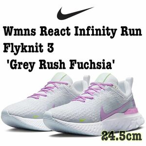 Nike Wmns React Infinity Run Flyknit 3 ナイキ ウィメンズ リアクトインフィニティラン フライニット 3 (DZ3016100)グレー24.5cm箱無し