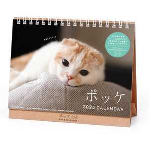 2025Calendar ポッケ 卓上 卓上カレンダー2025年 ねこ スケジュール 動物写真 書き込み