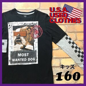 ME5-706★訳あり 超格安★USA購入品★モザイク・犬【MOST WANTED DOG】フォトプリント 長袖 レイヤード風 Tシャツ【ユース XL 160】黒