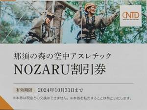 ★空中アスレチックNOZARU割引券★4人まで800円割引