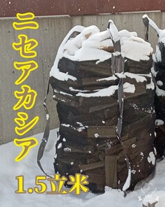 お正月セール30,000円！　北海道　ニセアカシアの生薪　1.5立米 