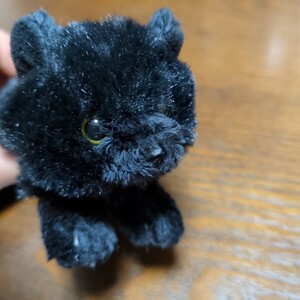 ☆ ひざねこ　ちび　BK　ブラック　黒猫　サンレモン　Sunlemon　ぬいぐるみ　クロネコ　猫　ねこ　ネコ　ぬいぐるみマスコット　