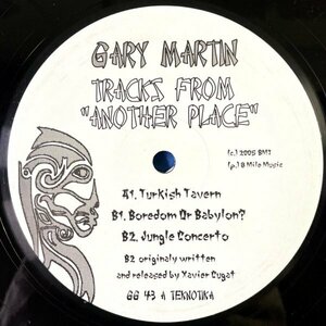 【HOUSE】Gary Martin - Tracks From Another Place / Teknotika Records GG 43 / VINYL 12 / US / F