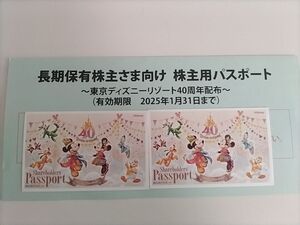 東京ディズニーリゾート　株主パスポート　2枚セット