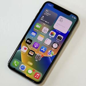 Apple SIMフリー iPhone X スペースグレイ 256GB MQC12J/A iOS16.7.8 アクティベーションロック解除済