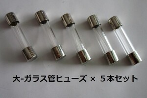 ☆　ガラス管５A/ヒューズ ( 大 ) ×５本セット【未使用/目視チェック済み】交換用電子部品