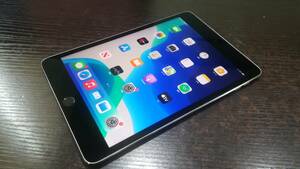 【動作品♪】Apple iPad mini 4 第4世代 Wi-Fi 32GB A1538(MNY12J/A)スペースグレイ