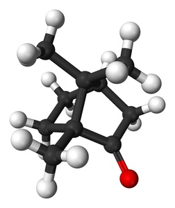 樟脳 100% 250g C10H16O ボルナン-2-オン カンフル カンファー 二環性モノテルペンケトン 有機化合物標本 試薬