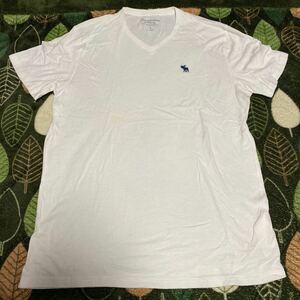 k87 Abercrombie&Fitch Tシャツ サイズL表記 ベトナム製
