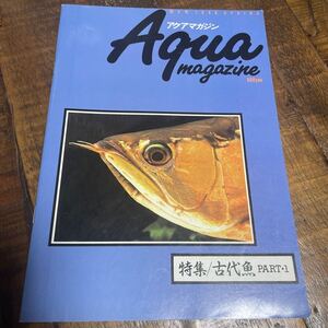 古代魚 アクアマガジン 特集/古代魚 PART・1 NO5 1990 SPRING フェア・ウインド 松坂實 熱帯魚 アクアホビー アミアカルヴァ ポリプテルス