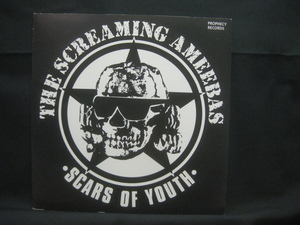 The Screaming Ameebas / Scars Of Youth ◆EP3607NO BGP◆EP