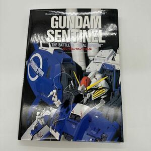 ガンダム センチネル GUNDAM SENTINEL 大日本絵画 モデルグラフィックス スペシャルエディション