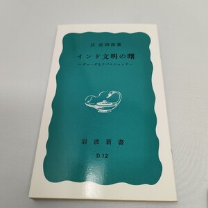 インド文明の曙―ヴェーダとウパニシャッド (岩波新書)　1988年21刷　即決　送料込み