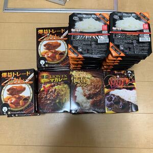 ヒロセ通商　カレー　ご飯　セット　36食セット　キーマカレー　やみカレー他　ライス　米