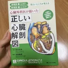 心臓外科医が描いた正しい心臓解剖図 透視図→心カテ 断面図→心エコー 見たいと…