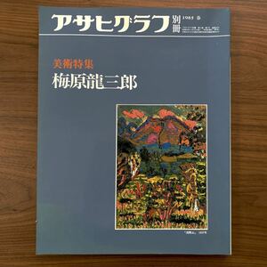 アサヒグラフ　別冊　1985　春　昭和60年5月15日発行　美術特集　梅原龍三郎　朝日新聞社　米倉守 銀杏木 椿 下加茂の森 作品集 本