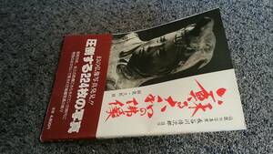 問題あり 帯付 蘇る大和の佛像 伝説の写真家長谷川傳次郎謹写 久野健解説 1988年11月21日発行 ㈱東京経済