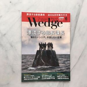 ウエッジ　 Wedge　 2019年6月号　漂流する部長課長　JR