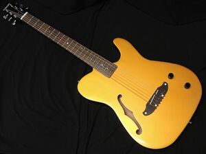 SCHECTER OL-FL-P GO シェクター 薄胴 Fホール エレアコ テレキャスターシェイプ ゴールドトップ グロスフィニッシュ