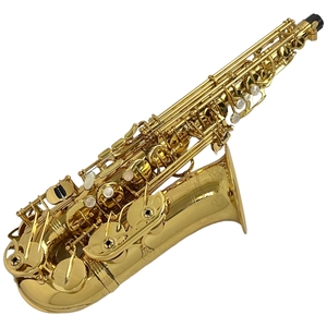 【動作保証】Yanagisawa ヤナギサワ WO10 アルトサックス 選定品 管楽器 中古 良好 N8868417