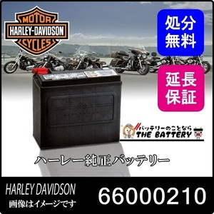 HD 66000210 旧66010-82B ハーレーダビットソン 純正 AGM バイクバッテリー 二輪用 6ヶ月保証