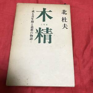 木精　或る青年期と追想の物語　北杜夫　新潮社