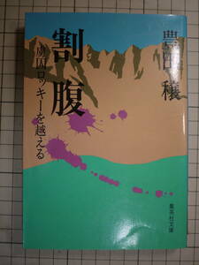 中古品(可)　豊田穣　割腹　虜囚ロッキーを超える　乗機を撃墜され…