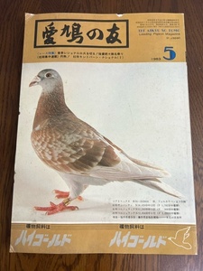 【愛鳩の友/1983年5月号】