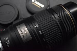 Canon EF 75-300mm f/4-5.6 IS USM #4233